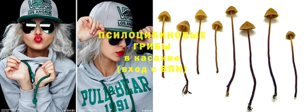 амф Алексеевка