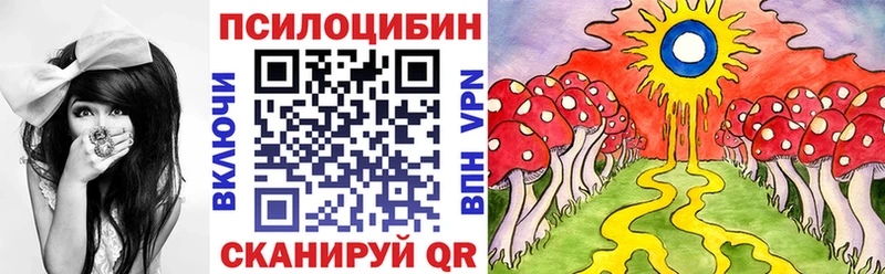 купить наркотик Обнинск Галлюциногенные грибы Psilocybine cubensis